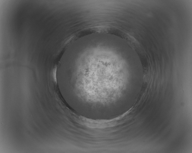 X0000073990047200608281325