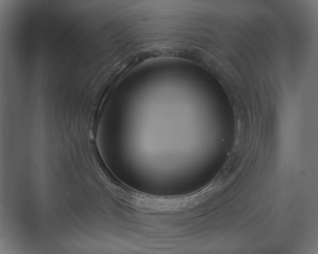 X0000073990048200608281325