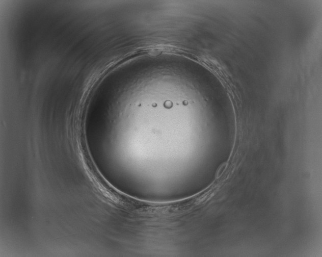 X0000073990049200608281324