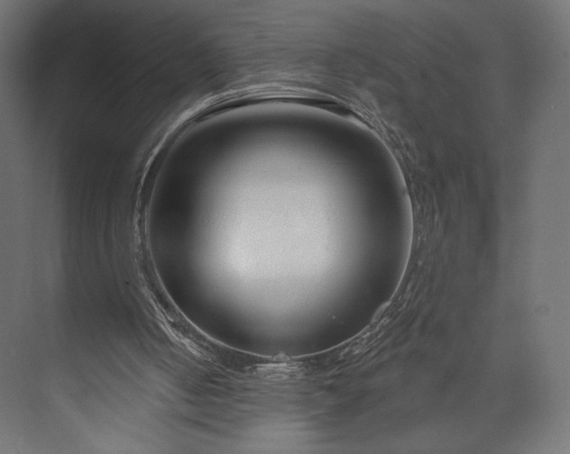 X0000073990050200608281324