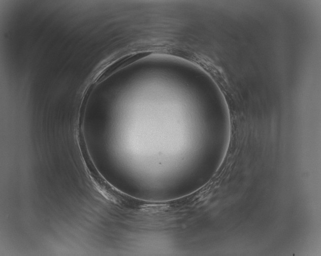 X0000073990051200608281324