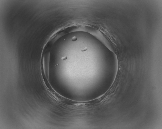 X0000073990052200608281324