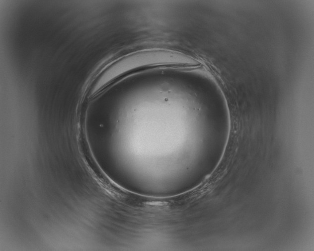 X0000073990053200608281324