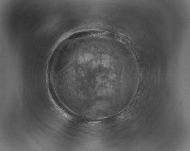 X0000073990054200608281324