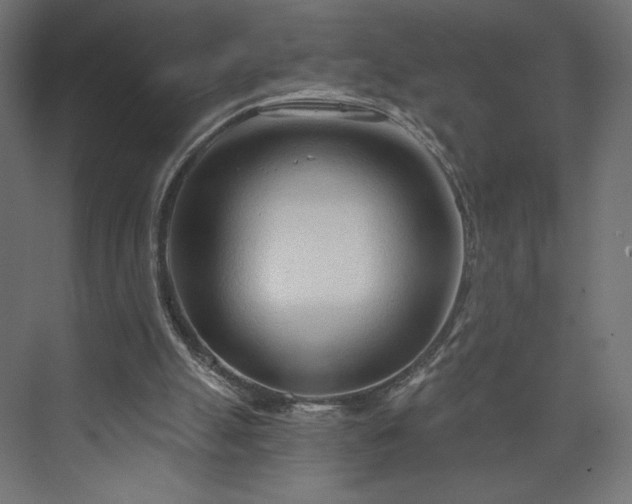 X0000073990055200608281324