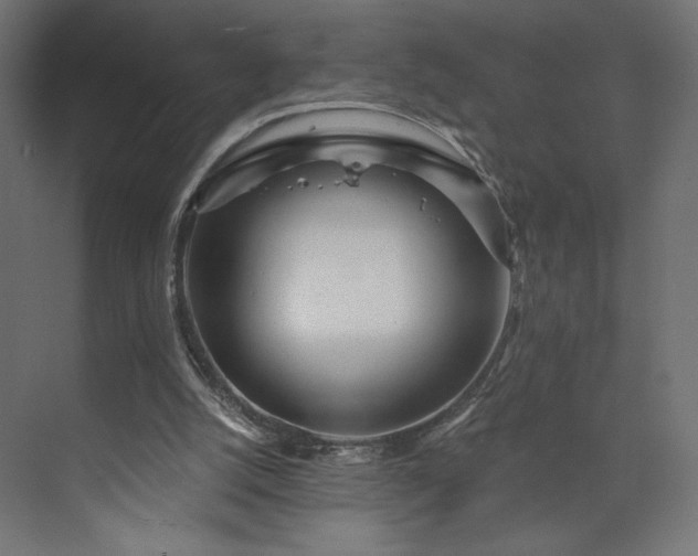 X0000073990056200608281324