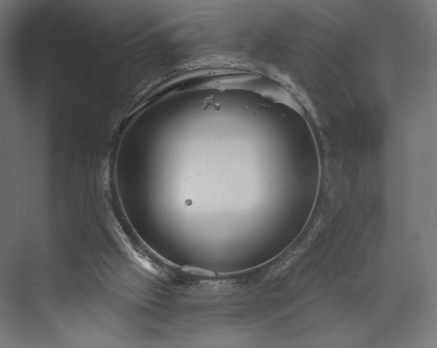 X0000073990057200608281324