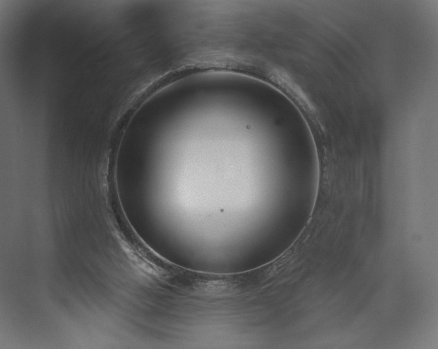 X0000073990058200608281324