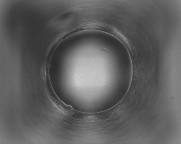 X0000073990059200608281324