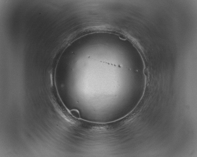 X0000073990061200608281324