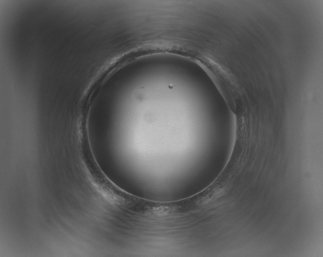 X0000073990064200608281325