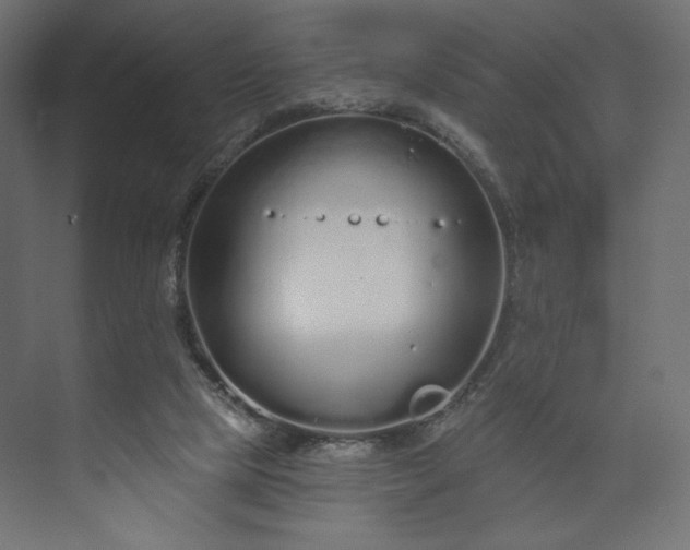 X0000073990065200608281325