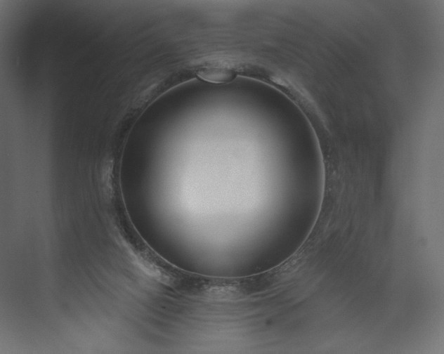 X0000073990066200608281325