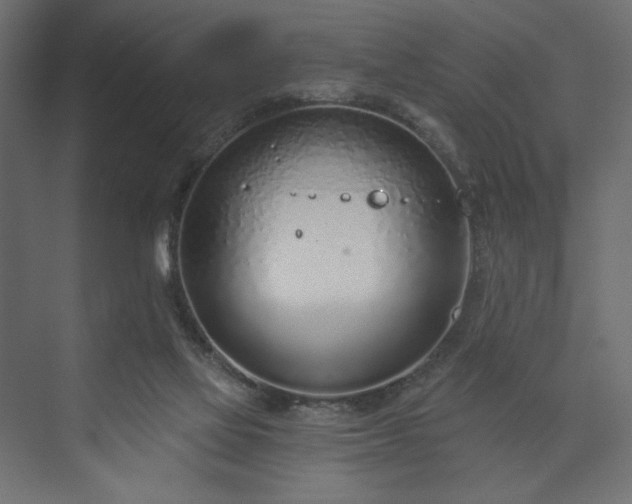 X0000073990069200608281325