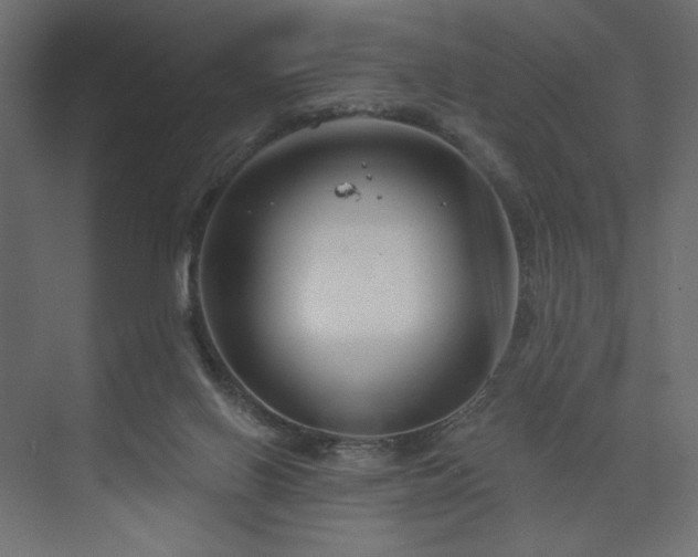 X0000073990070200608281325