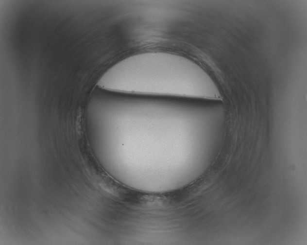 X0000073990073200608281325