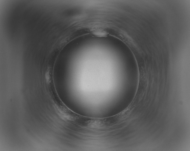 X0000073990074200608281325