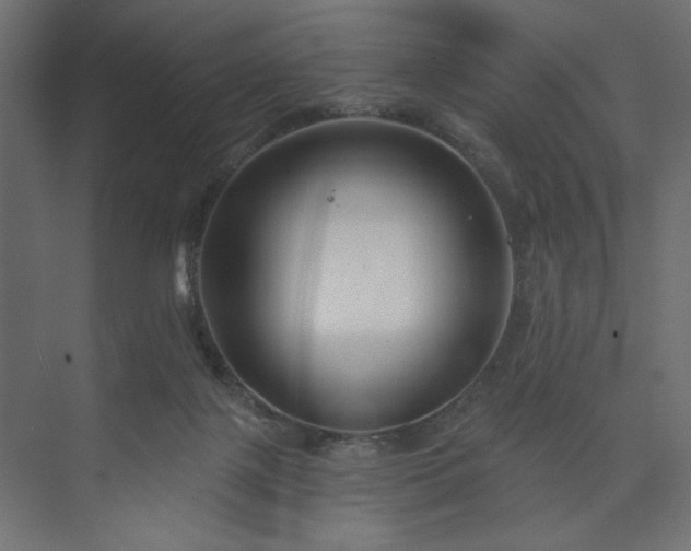 X0000073990075200608281325