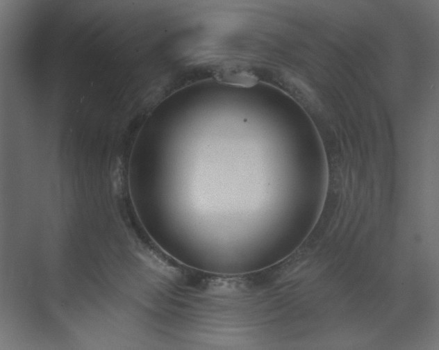 X0000073990077200608281325