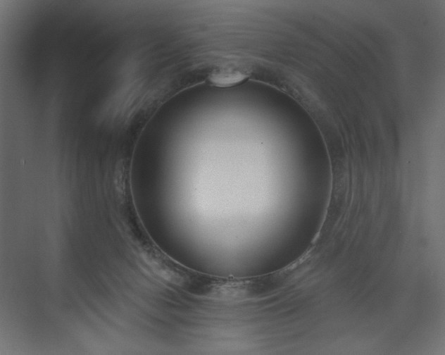 X0000073990078200608281325