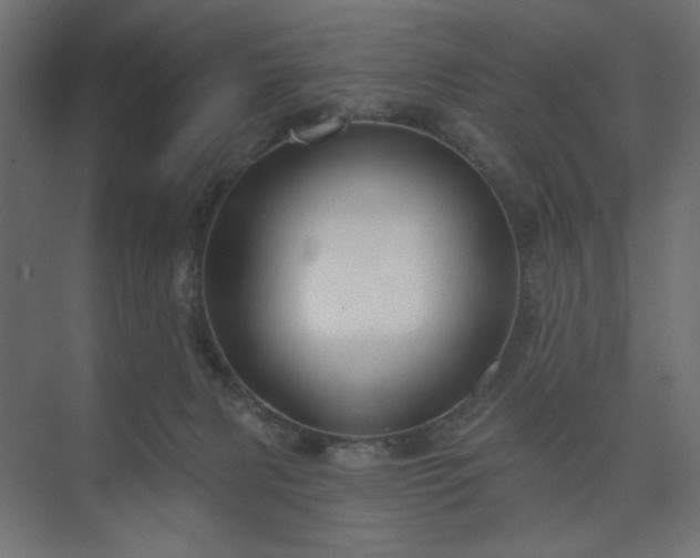 X0000073990079200608281325