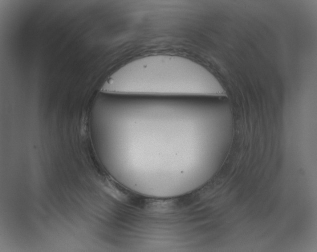 X0000073990081200608281325