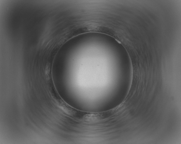 X0000073990082200608281325