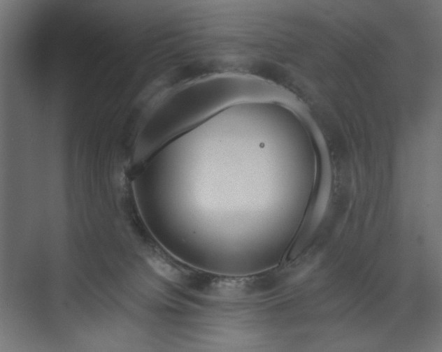 X0000073990084200608281325