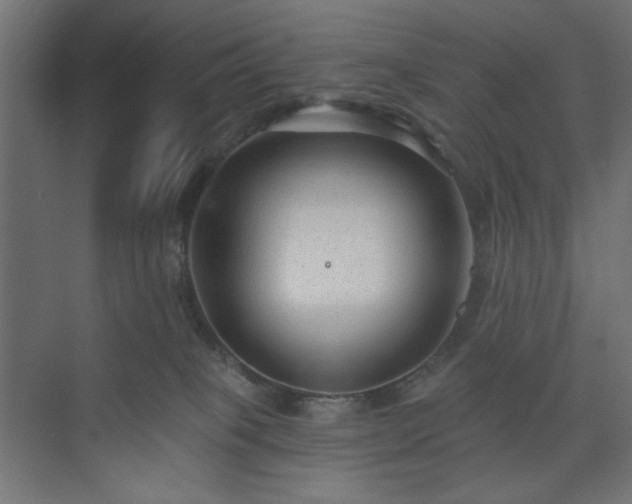 X0000073990085200608281325