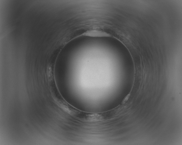 X0000073990087200608281325