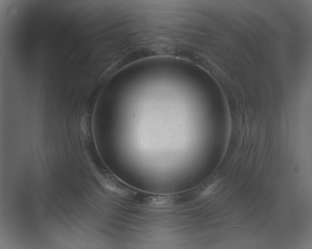 X0000073990088200608281325