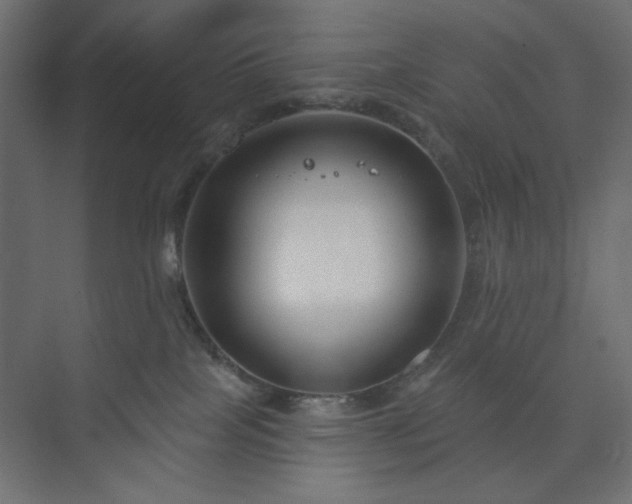 X0000073990089200608281325