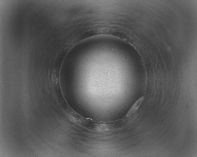 X0000073990091200608281325