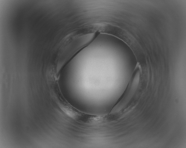 X0000073990092200608281325