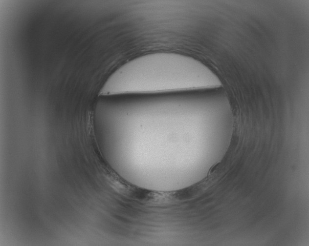 X0000073990093200608281325