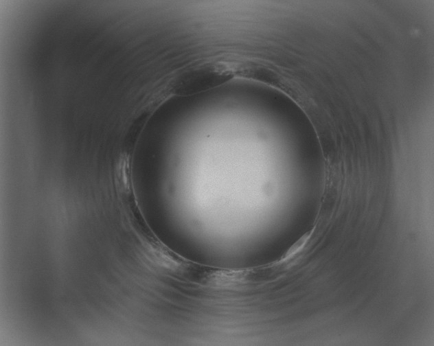 X0000073990094200608281325