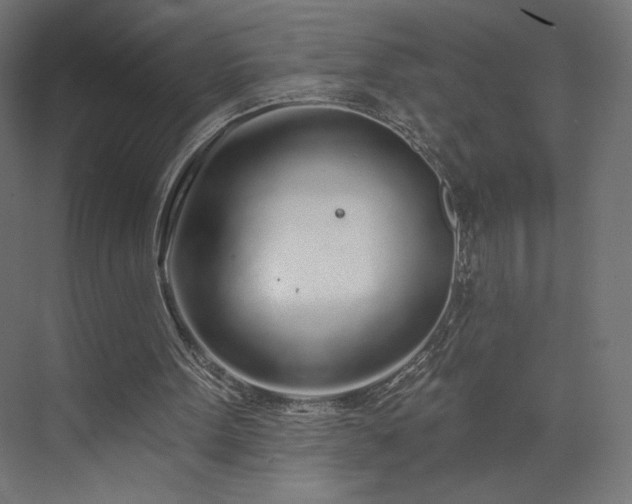 X0000073990099200608281324