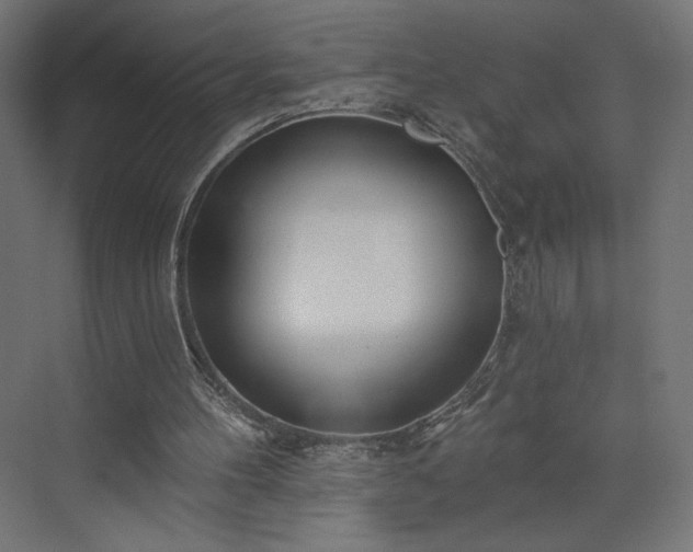 X0000073990100200608281324