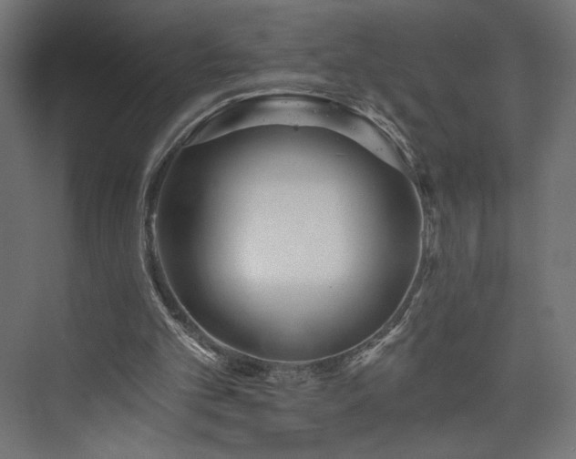 X0000073990101200608281324