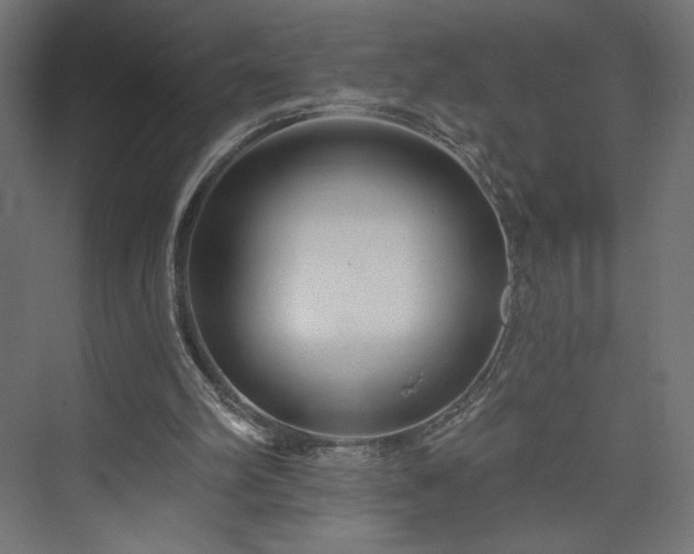 X0000073990102200608281324