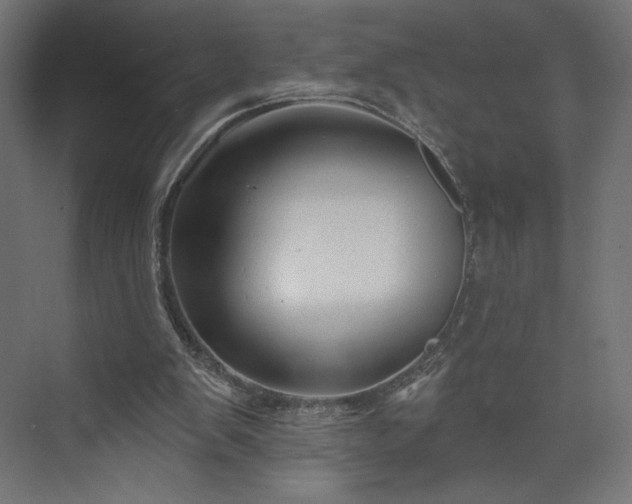 X0000073990103200608281324