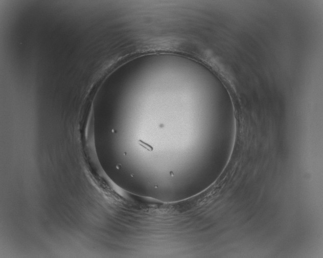 X0000073990107200608281324