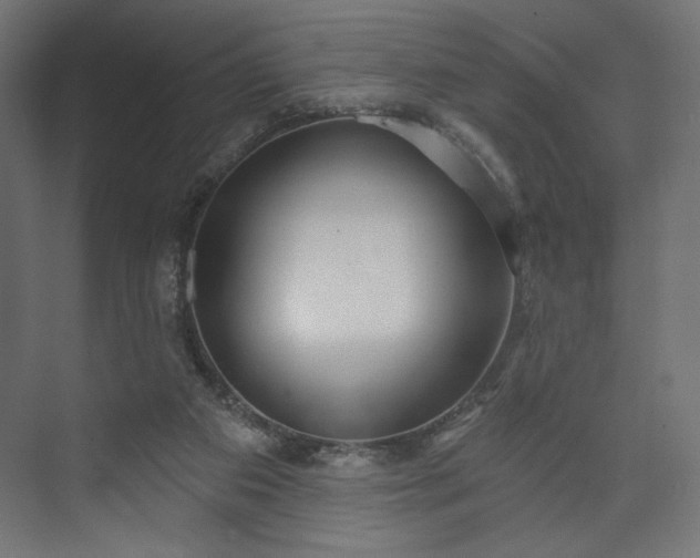 X0000073990113200608281324