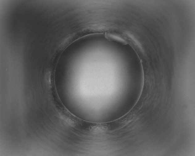 X0000073990115200608281324