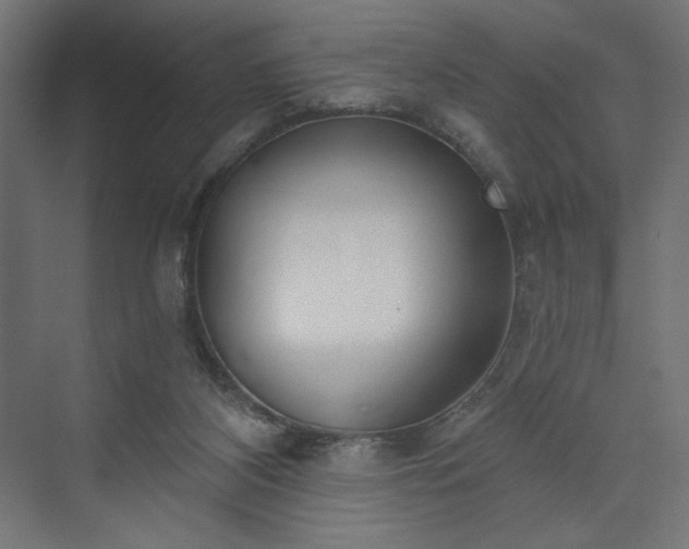 X0000073990116200608281324