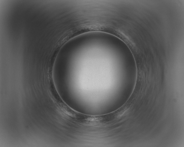 X0000073990117200608281324