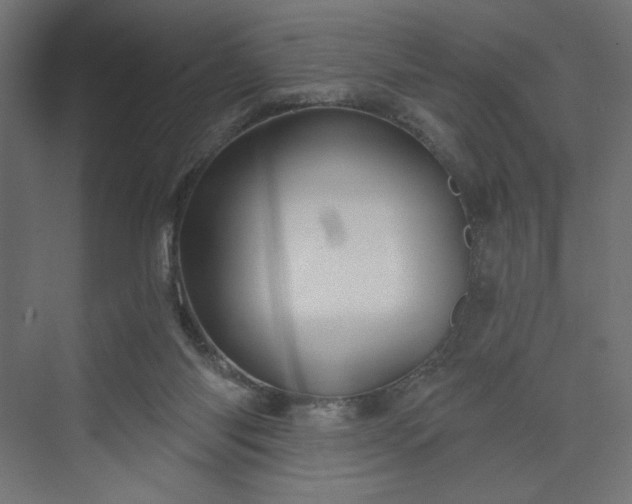 X0000073990118200608281324