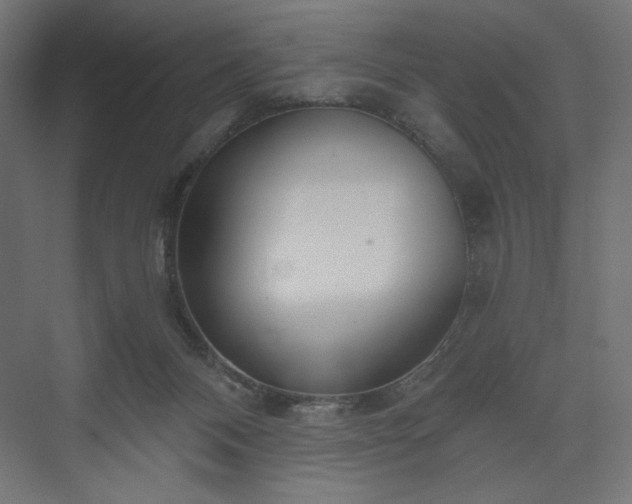 X0000073990120200608281324