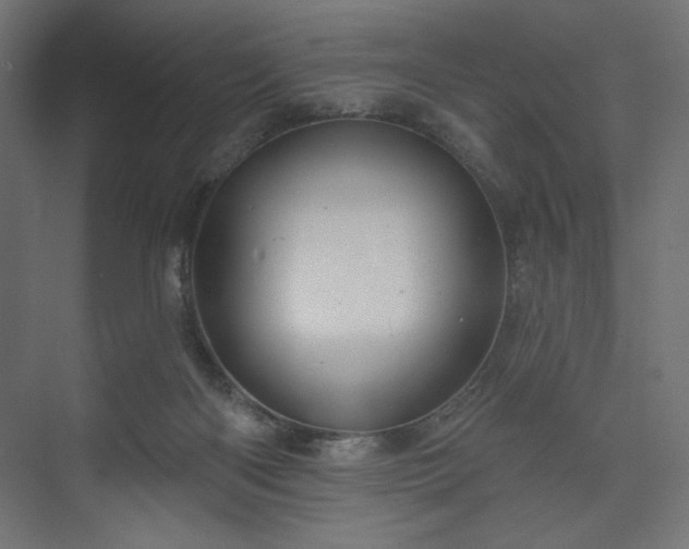 X0000073990122200608281324