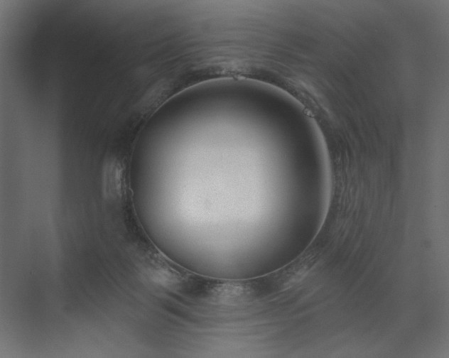 X0000073990123200608281324